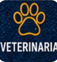 dota jeans veterinaria